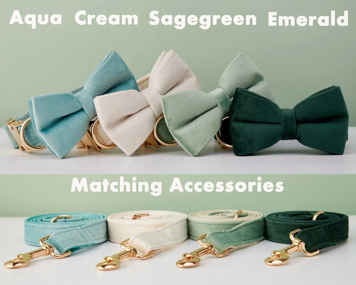 Velvet Personalized Dog Collar Leash Set with Bow, Engraved Pet Name Plate Metal Buckle