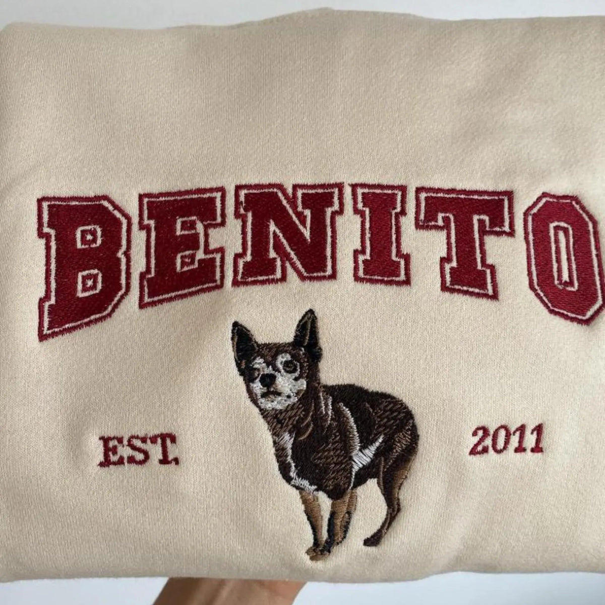 Custom Pet Embroidered Sweatshirt, Personalized Dog and Cat Embroidery Pullover