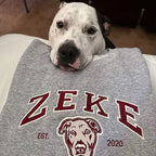 Personalized Embroidered Sweatshirt with Pets Name, Custom Dog Face Hoodie For Kids Youth- Varsity Colorful Design