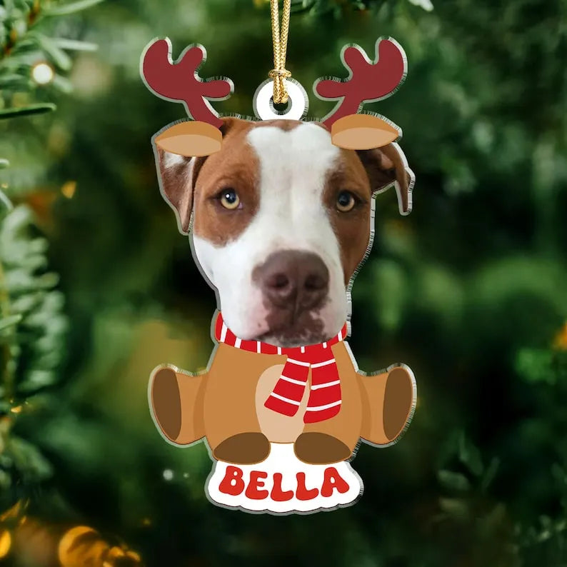 Custom Pet Photo Christmas Ornament, Funny Dog Cat Horse Bunny Cow Ornament