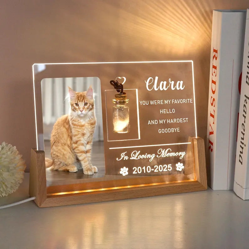 Custom Cat Memorial Frame with Cat Fur Keepsake, Pet Loss Sympathy Gifts, Cat Memorial Night Light