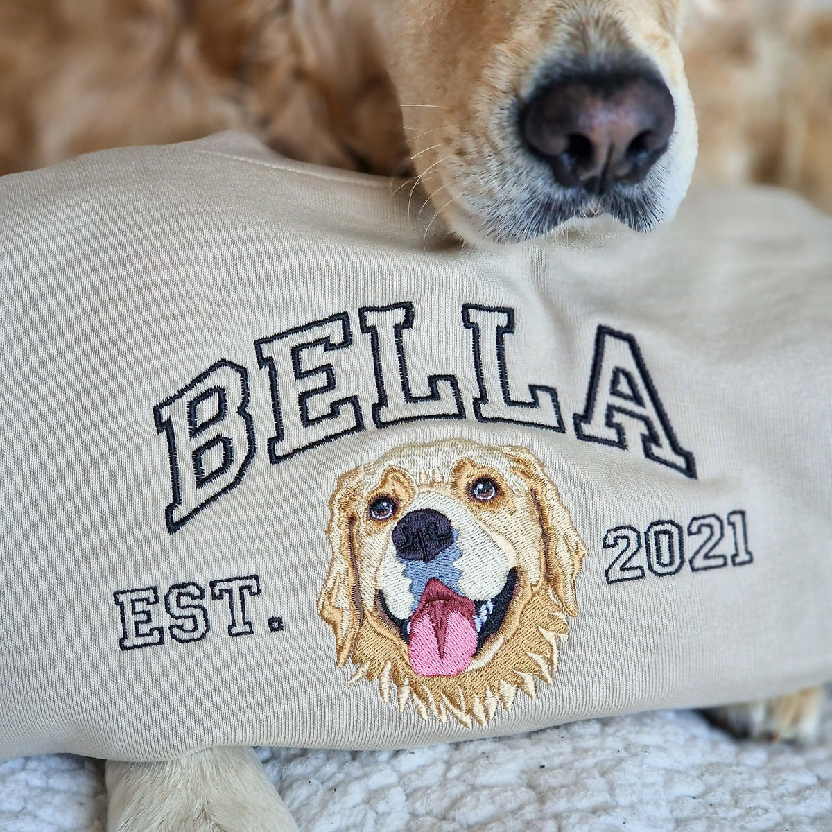 Custom Varsity Style Embroidered Pet Portrait College Sweatshirt Hoodie T-shirt- Varsity Colorful Design