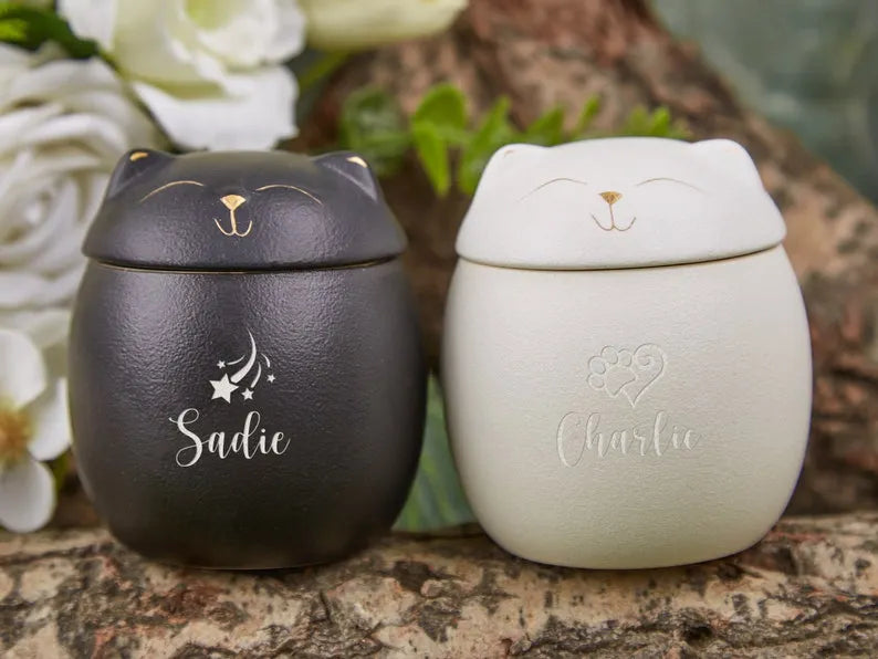 Custom Pet Paw Urn Cat with Name, Modern Pet Ashes Cremation Urn