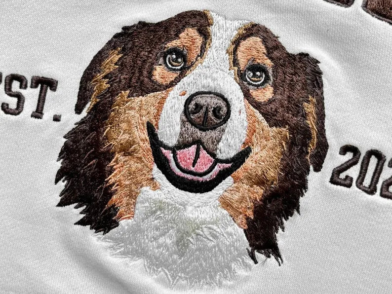 Custom Embroidered Pet From Your Photo Hoodie, Dog Sweatshirt with Name Embroidered- Varsity Colorful Design