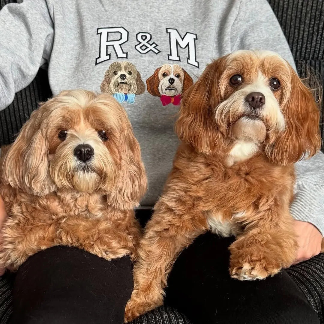 Custom Pet Photo Embroidered Dog Initials Hoodie Perfect Gift For Pet Owners- Varsity Colorful Design
