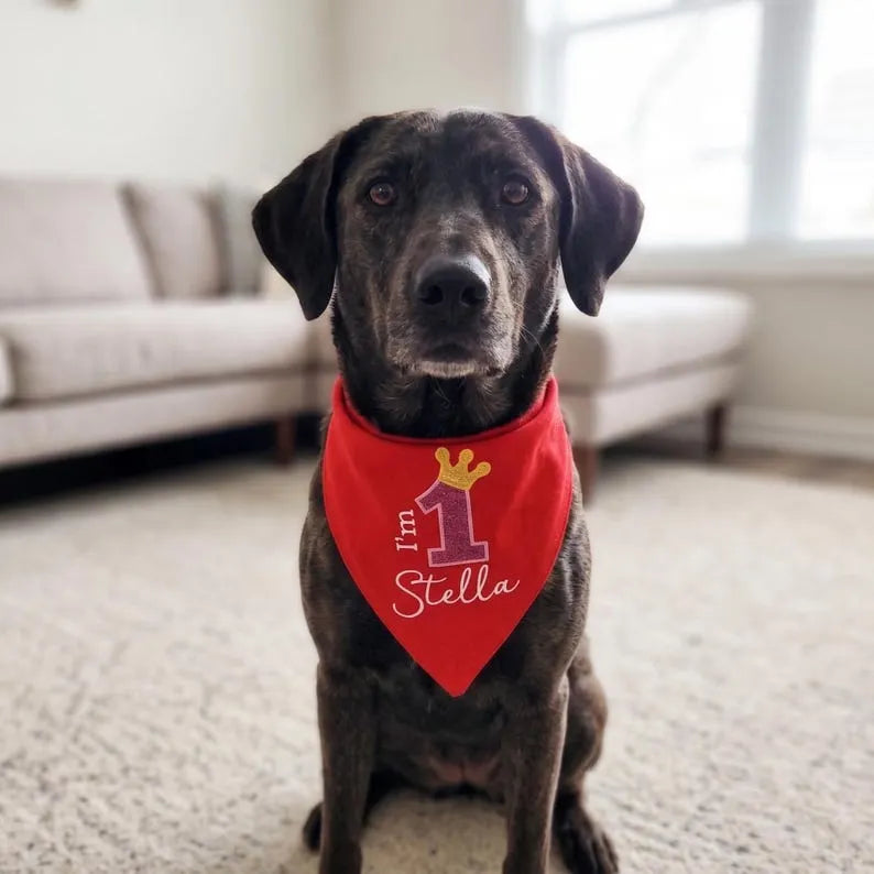 Custom Embroidered Name Birthday Dog Bandana with Glitter Number & Crown Design