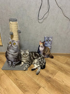 Custom Pet Cardboard Cutouts, Lifesize Cut Out, Wedding Favor