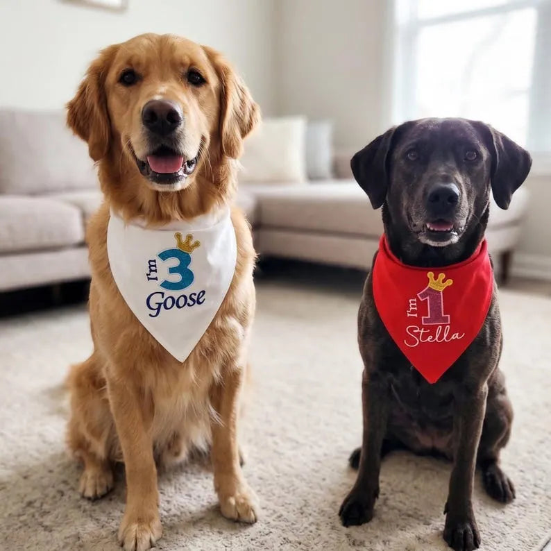Custom Embroidered Name Birthday Dog Bandana with Glitter Number & Crown Design