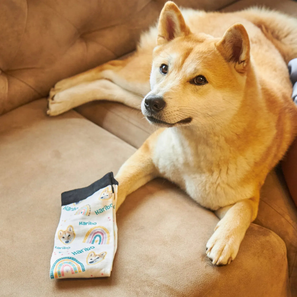  Personalized Pet Lover Socks, Pet Socks for Dog Mom