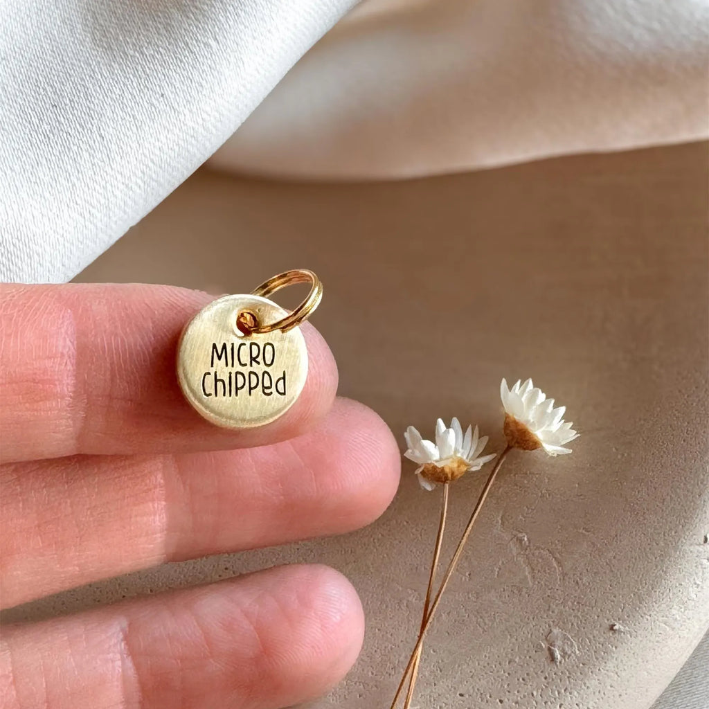 Personalizied Microchipped Dog Tag Charm, Custom Text Dog Tag