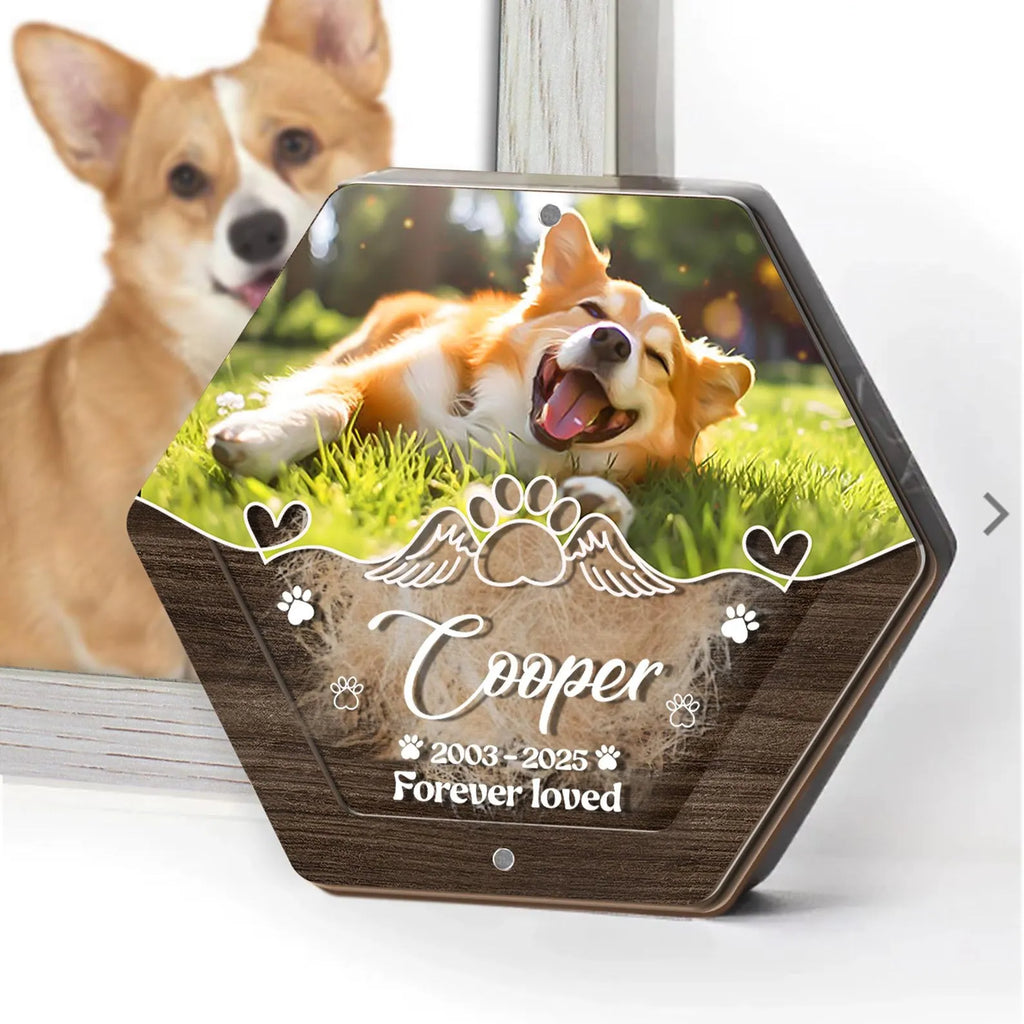 Custom Pet Hair Keepsake Box - Acrylic Photo & Tooth Memorial Display