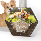 Custom Pet Hair Keepsake Box - Acrylic Photo & Tooth Memorial Display