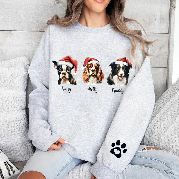 Custom Pet Christmas Sweatshirt Personalized Santa Hat Garland Printed Crewneck