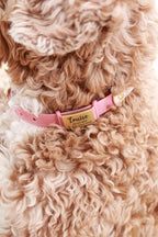 Silicone Pet Tag, Silent ID Tag, Slide On, Personalized Pet ID Tag with Custom Engraving Dog Tag