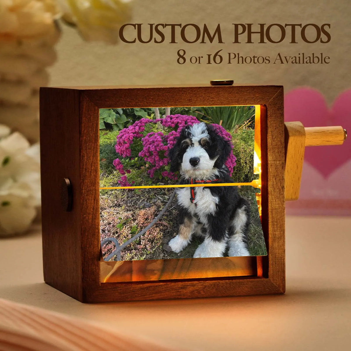 PetFiestas® Custom Photos Hand-Crank Flipbook Box