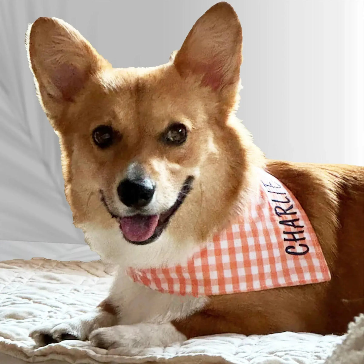 Kariertes Hundehalstuch, bestickt