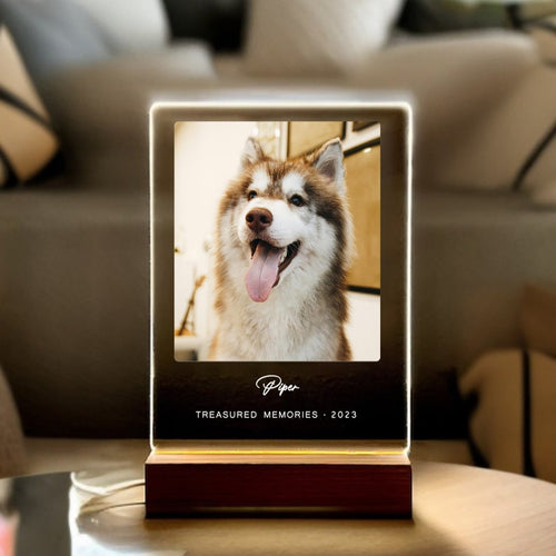 Light Up Pet Memorial Plaque, Personalized Gifts for Pet Loss