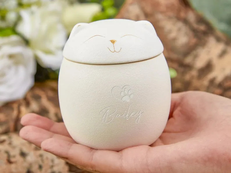 Custom Pet Paw Urn Cat with Name, Modern Pet Ashes Cremation Urn