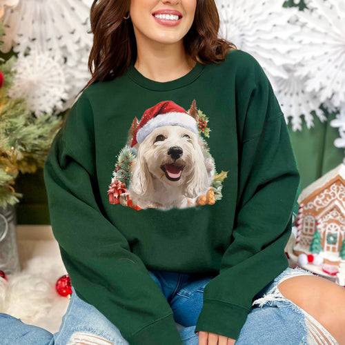 PetFiestas® Christmas Custom Pet Santa Personalized Pet Christmas Sweatshirt Hoodie T-shirt for Adults and Kids