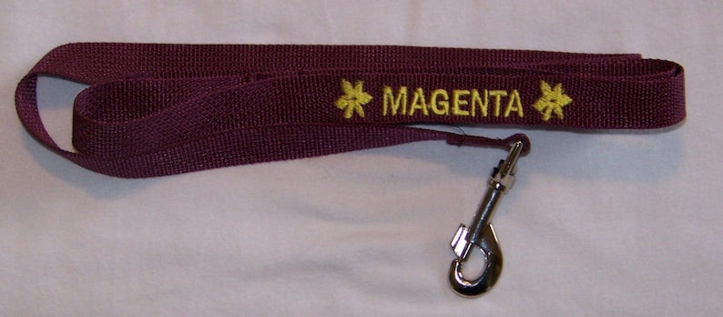 Personalized Dog Leash Puppy Leash Cat Leash