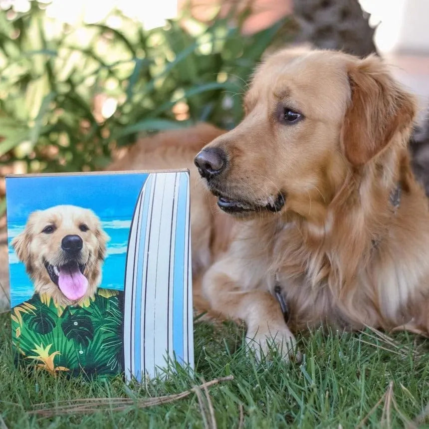 The Surfer - Custom Pet Portrait Canvas Frame