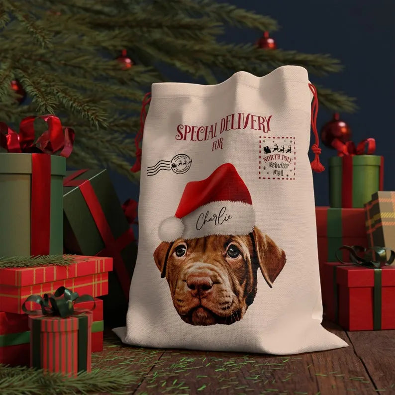 Customized Pet Santa Gift Sack, Christmas Gift Bag for Dogs