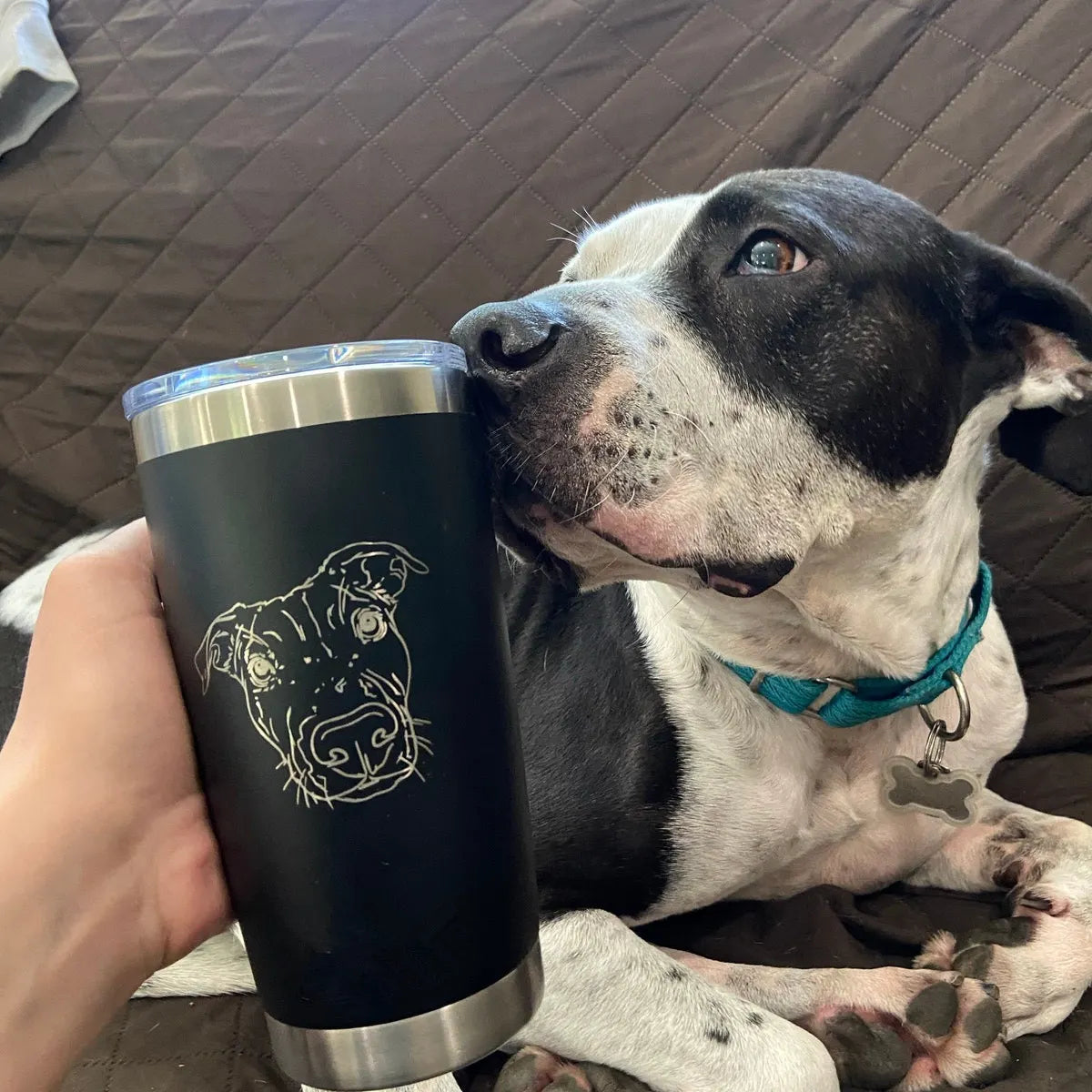 Custom Pet Portraits Insulated Tumbler, Cup for Dog Mom, Dog Dad