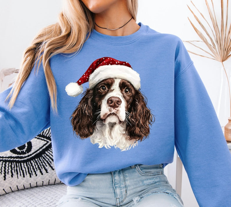 Custom Dog Christmas Shirt with Santa Hat, Pet Santa Hat Christmas Sweatshirt