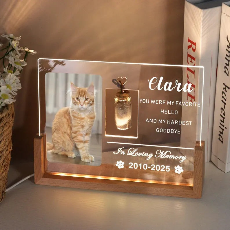 Custom Cat Memorial Frame with Cat Fur Keepsake, Pet Loss Sympathy Gifts, Cat Memorial Night Light