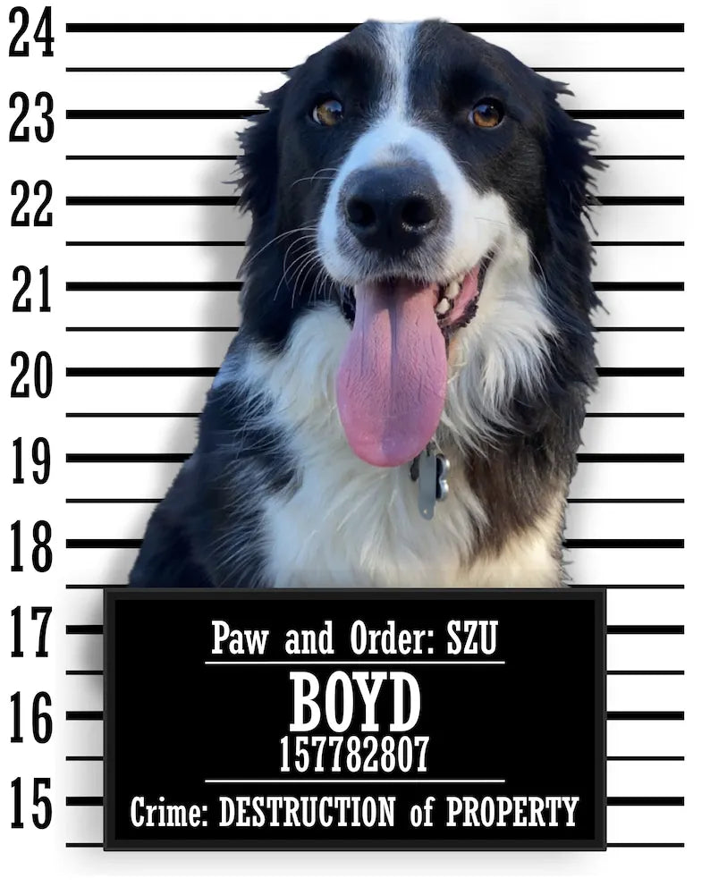 Custom Pet Portrait From Photo Canvas- Dog Mugshot, Custom Pet Portrait Art