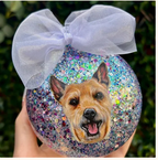 🔥Christmas Hot Sale🔥Pet Portrait Baubles