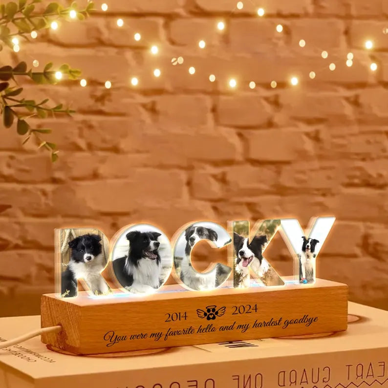 Personalized Pet Memorial Night Light, Custom Pet Photo Night Light