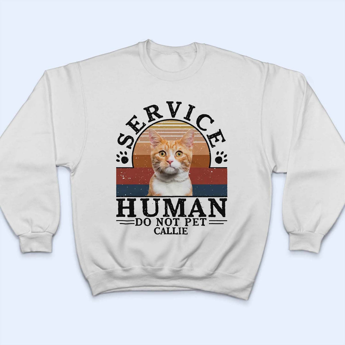 Custom Photo Dog Cat Service Human Do Not Pet -Personalized Custom T-Shirt Hoodie Sweatshirt