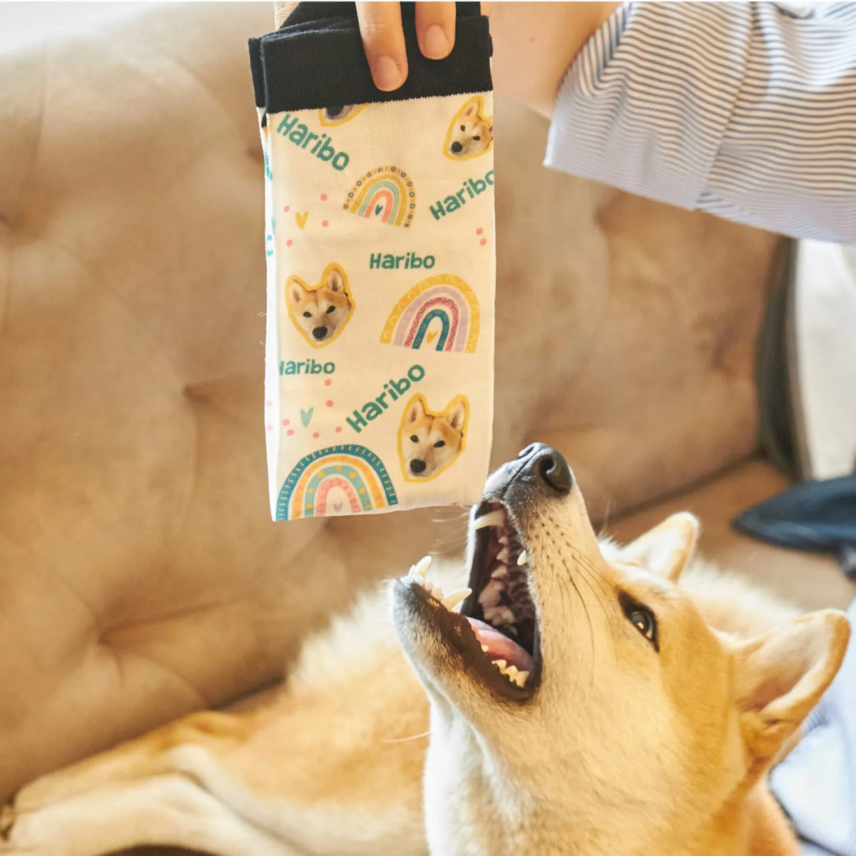  Personalized Pet Lover Socks, Pet Socks for Dog Mom