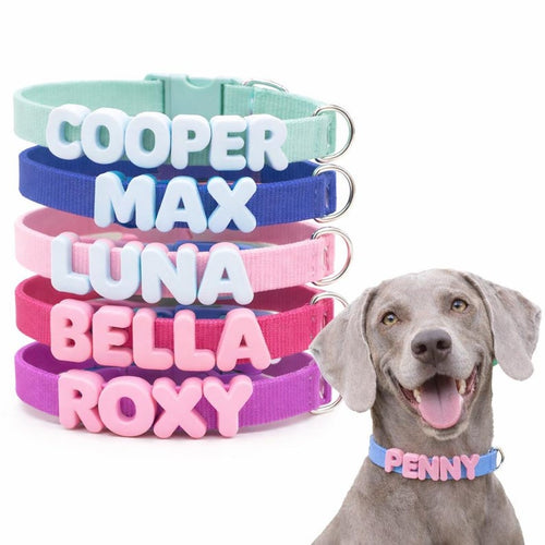 Custom Dog Nylon Collar with Silicone Name