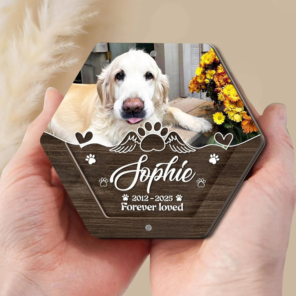 Custom Pet Hair Keepsake Box - Acrylic Photo & Tooth Memorial Display
