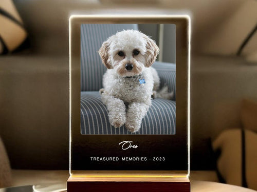 Light Up Pet Memorial Plaque, Personalized Gifts for Pet Loss