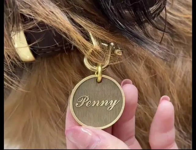 Personalized Brass Pet ID Tag, Engraved Dog Cat Tag - Engraved Minimalist Cat & Dog Tag