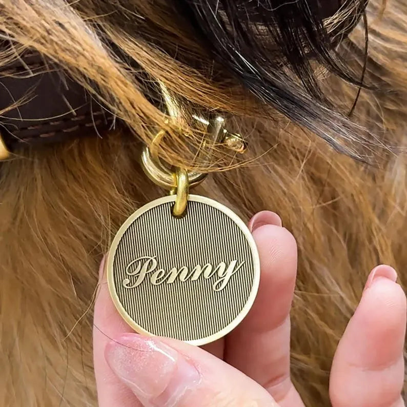 Personalized Brass Pet ID Tag, Engraved Dog Cat Tag - Engraved Minimalist Cat & Dog Tag