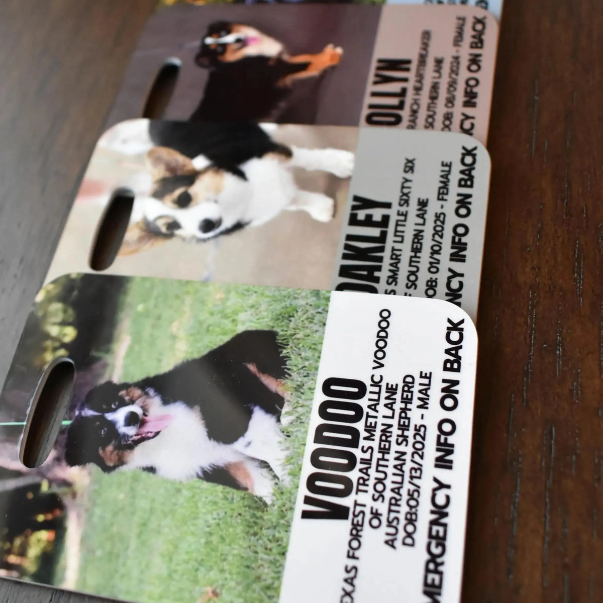 Custom Emergency Pet ID Tag, Personalized Pet Safety Card