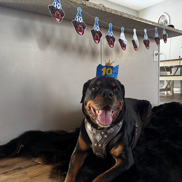 Custom Pet Face Birthday Decorations Dog Birthday Banner