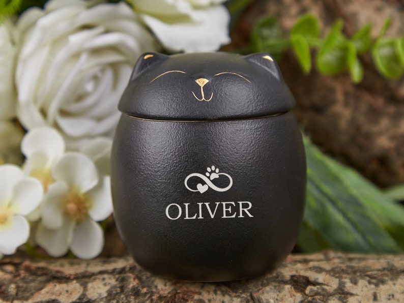 Custom Pet Paw Urn Cat with Name, Modern Pet Ashes Cremation Urn