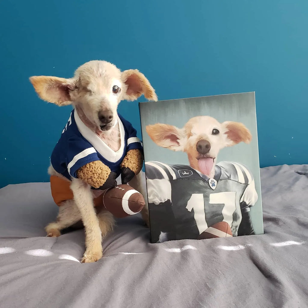 The Football Player - Custom Pet Portrait Canvas Frame