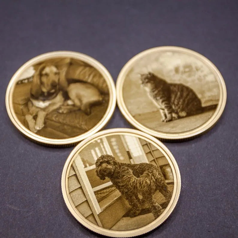 Custom Engraved Pet Memorial Coin – Personalized Photo Remembrance Gift