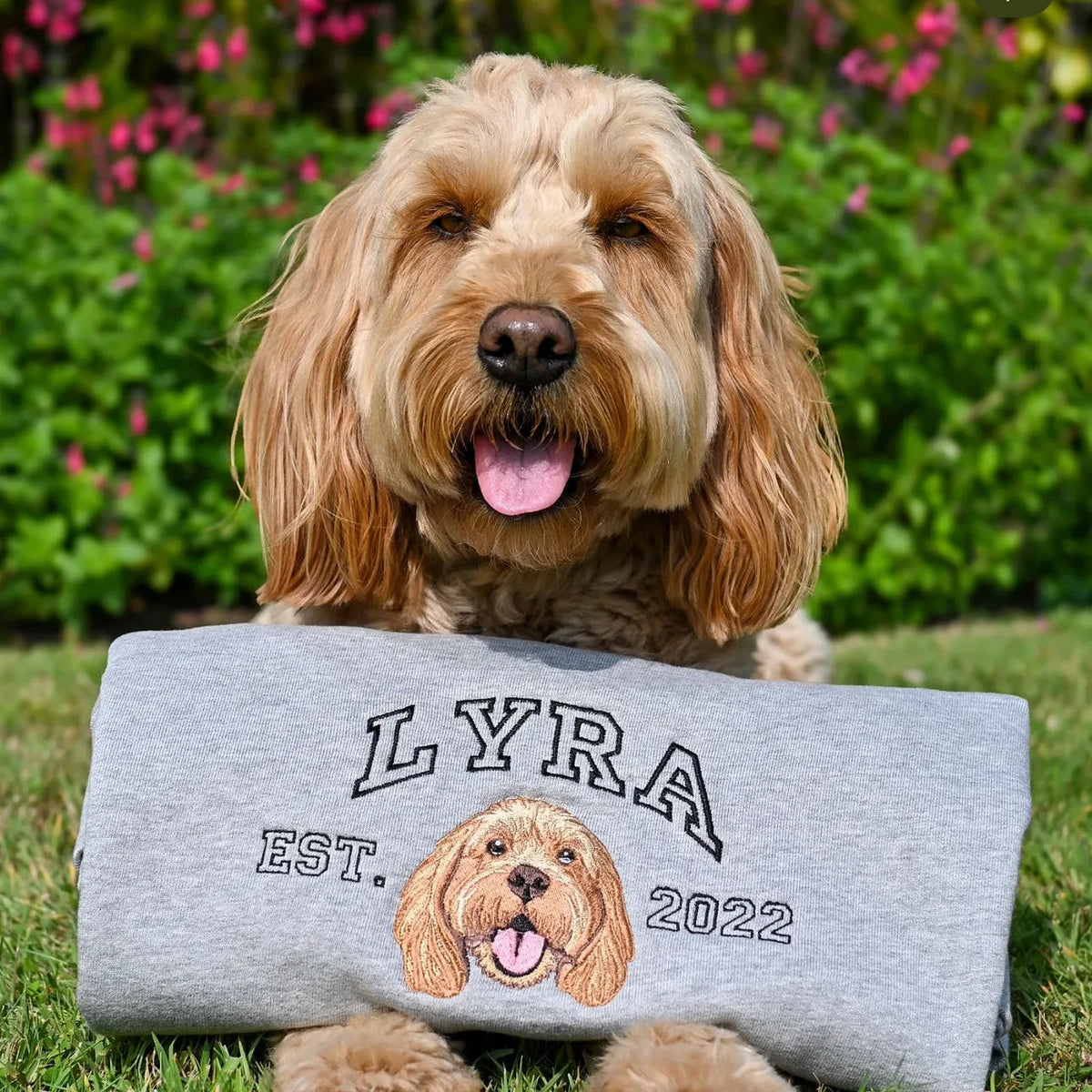 Custom Varsity Style Embroidered Pet Portrait College Sweatshirt Hoodie T-shirt- Varsity Colorful Design