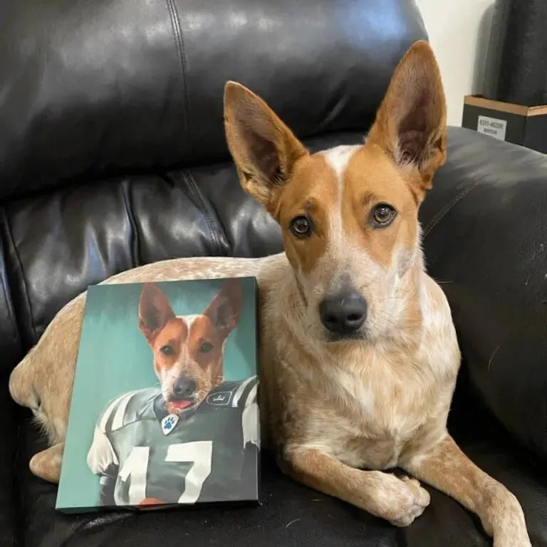 The Football Player - Custom Pet Portrait Canvas Frame