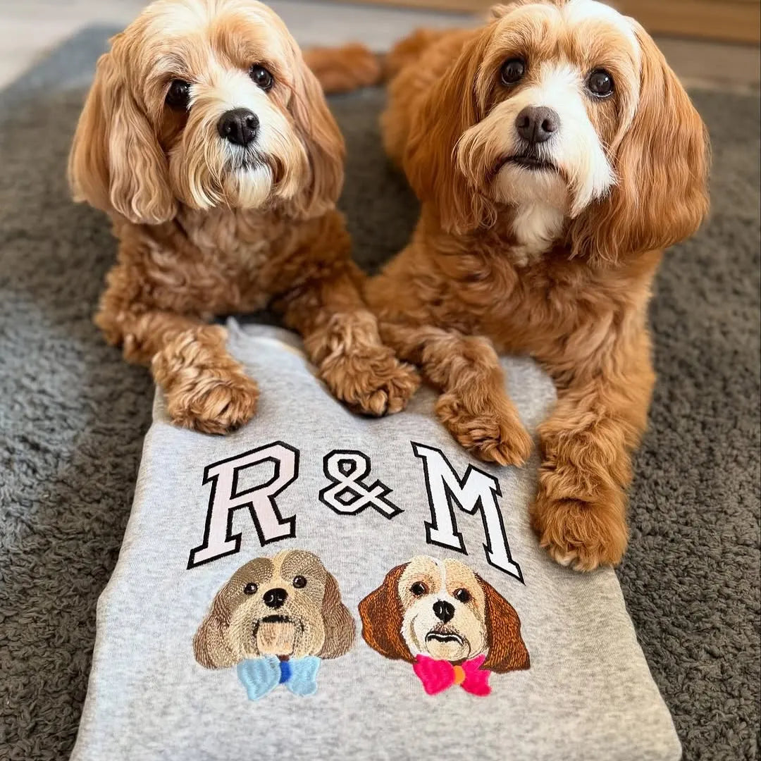 Custom Pet Photo Embroidered Dog Initials Hoodie Perfect Gift For Pet Owners- Varsity Colorful Design
