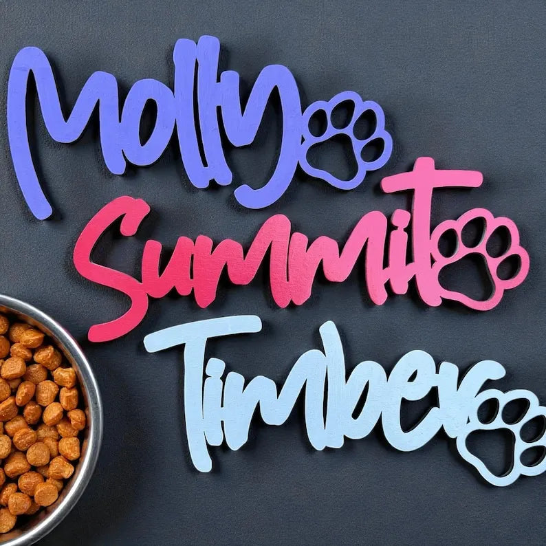 Personalized Dog Name Sign with Paw / Bone, Custom Wooden Pet Name Sign