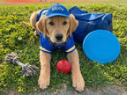 Custom Dog Hat with Embroidered Name,Pet Baseball Cap with Ear Holes