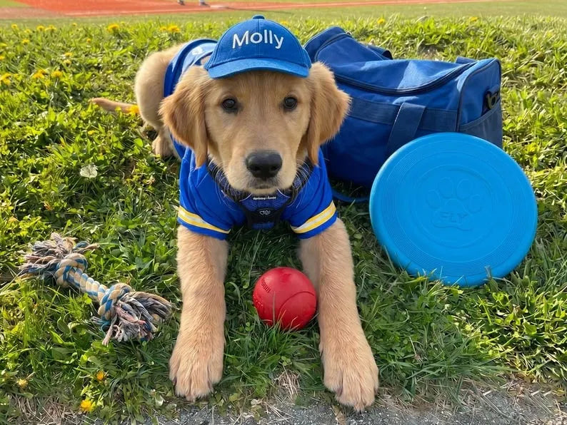 Custom Dog Hat with Embroidered Name,Pet Baseball Cap with Ear Holes